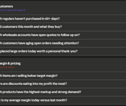 A dashboard displays two sections: Customers and Margin & pricing, each with lists of questions related to sales, orders, and pricing strategies, accompanied by plus icons to expand more options.